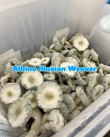 29CE7AB6-63C1-466E-8A1B-DEA368124D1D