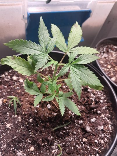 1a78862e-bd84-4299-a90b-abfeb29a44cb