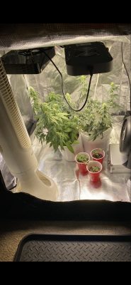 39F66CBB-B19E-407F-A0B3-69DD3E826148