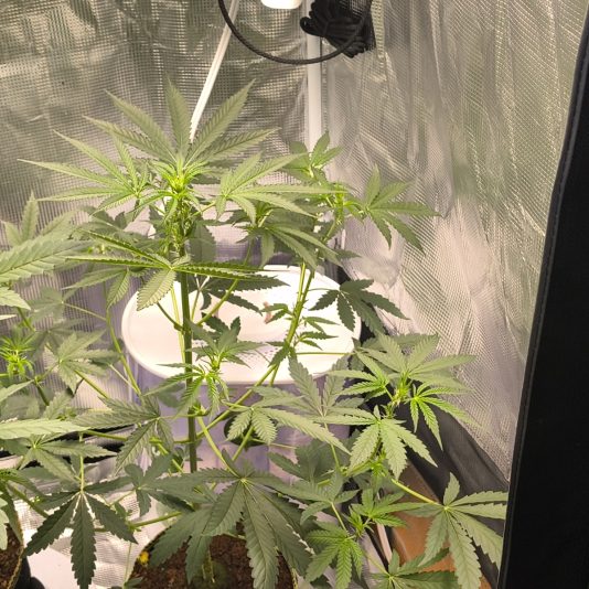 54b832e6-5533-4d79-b5d4-40ba60adcd21