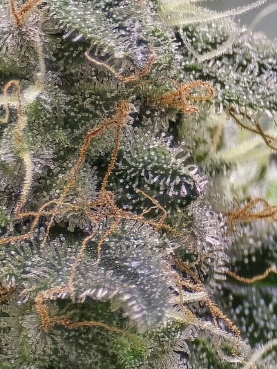 cc336066-9848-4127-b433-9d5667ed56a4