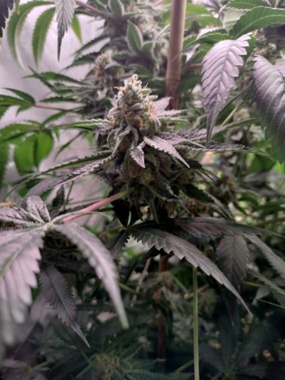 1b4feaf6-7316-4406-ad70-bdd1f6f89d4f