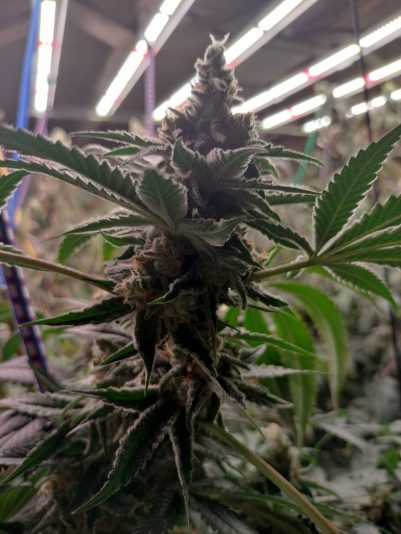 5a96ac65-c080-4520-81ae-b664cce348c7