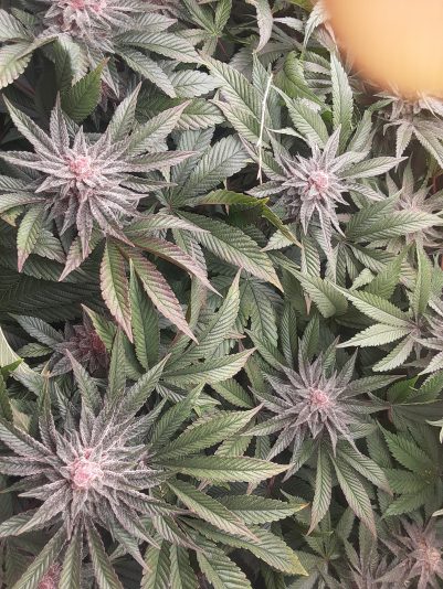 1b4356fd-7897-42ba-8c78-bd704f77221f-1_all_28