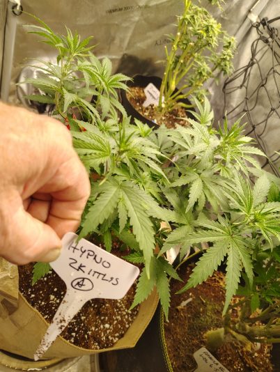 b3ae144f-5c08-4d08-ae24-35051d5d53b6