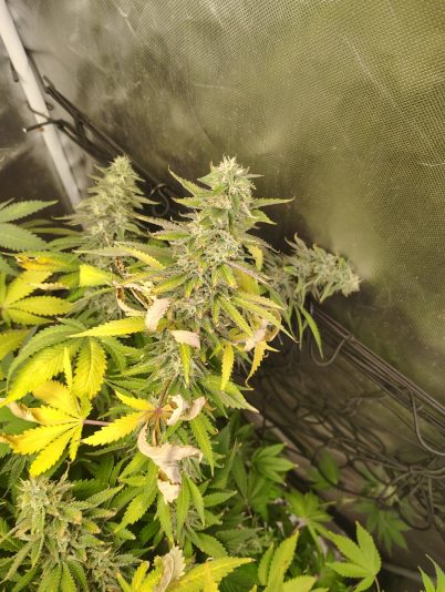 bc9913d8-530a-4acd-ac56-45704327618a