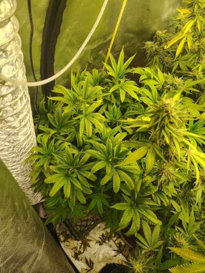 a30a5603-04ec-4f5b-b97d-a41b269241ba