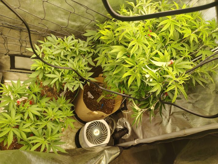 e78d4d7a-e6fd-4aac-86b7-65e7b1267b3e