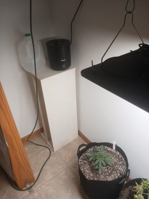 dae0f624-45e9-4be0-898c-5262f2f94c25