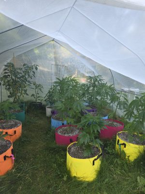 a663ff4b-e8a8-4c8d-a571-72be0443fe63