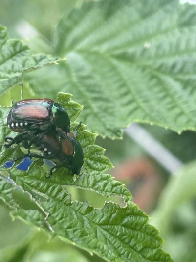 099212ED-0467-4B9D-94FA-CD08200EF6FB