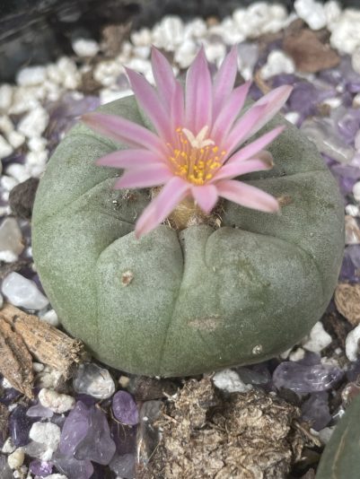 9D47A617-E78A-4A54-AF22-C7A920304256