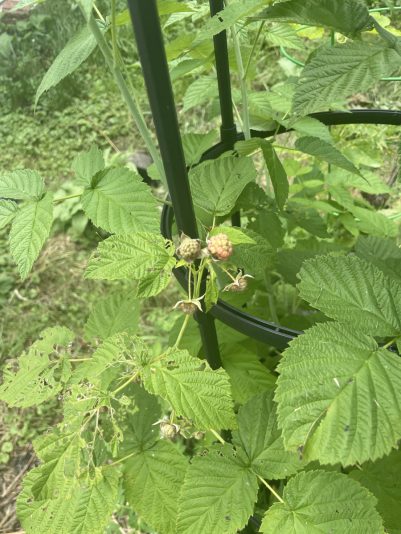 BD3BD55F-0D6F-459F-8B94-437F18ABA784