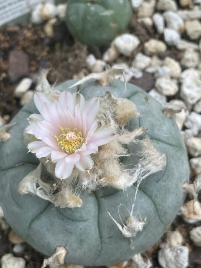 E76C013A-78EA-4B3C-8E68-57B697FD0E48