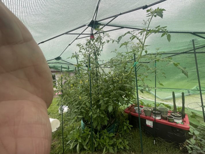 2C1518CF-0A20-4812-871A-8830BEF2FF1A