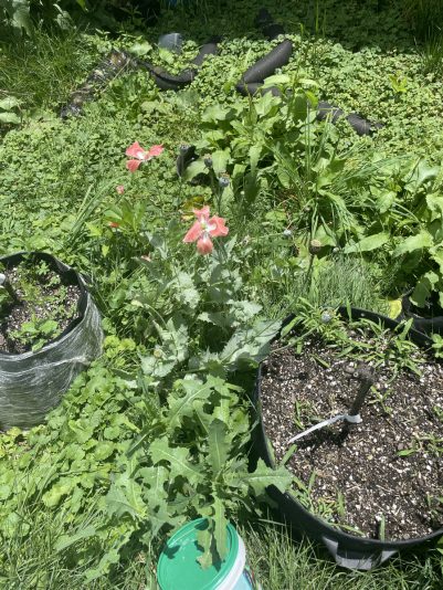 0450F991-87B1-4F88-ACCC-DDCDACE72C5E