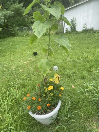 D51557E5-0A51-4DC9-BDC8-81833C0AEE24