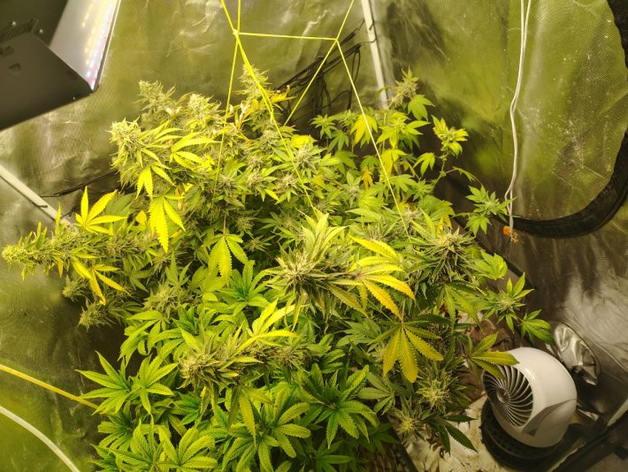 bc40906b-94e9-4cf5-9ff0-5cbbf0f09402