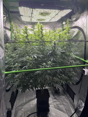 FC6F407E-90ED-492D-A3A2-85F814CFF86F