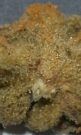 Screenshot_20250710-025057