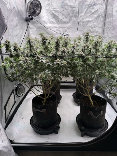 83B44B49-491A-4D0B-B332-61C0E9B92CAB