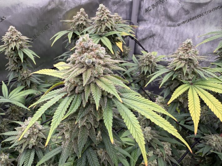 7185D81C-287B-4BC1-8B20-F8EDE314F3AA