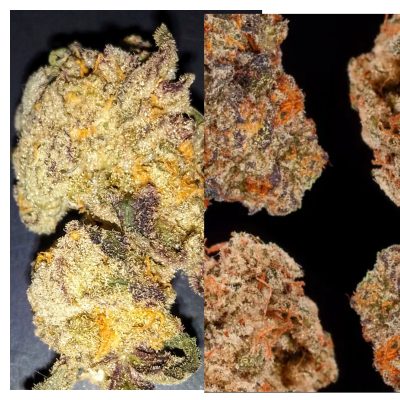 MixCollage-19-Jul-2025-03-26-PM-3631