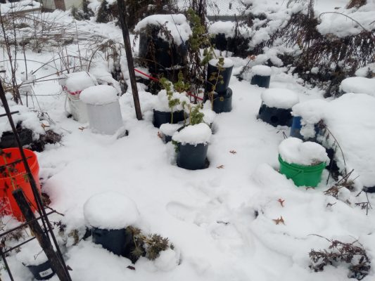 1999eada-352f-477c-a5f9-44156c638d5e