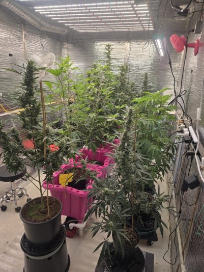 44aecba0-e2ab-43ac-91fa-d59c6fd8ab5d