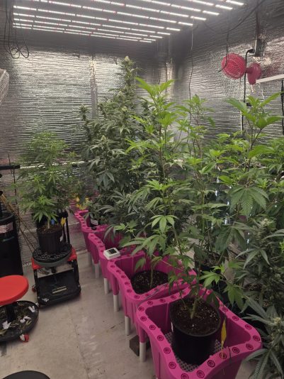 9ddbf024-aced-48b6-a4a3-31577cea35c0