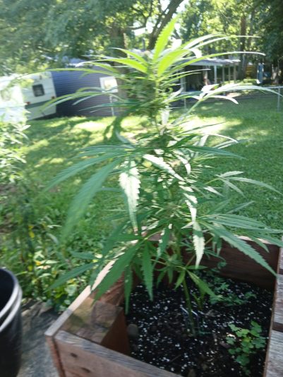 1e8c99ac-b99e-41a5-aa51-775e164a4eae