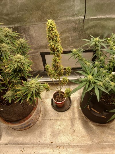 674b63f1-4d2c-42fa-a648-7dea118e62e3