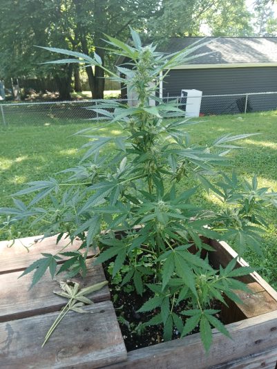 76fe71e3-9445-4203-937c-dd5e55ad246c