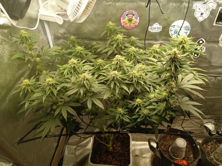 8f058059-b1e4-49d0-9ae5-df4254aaf03d