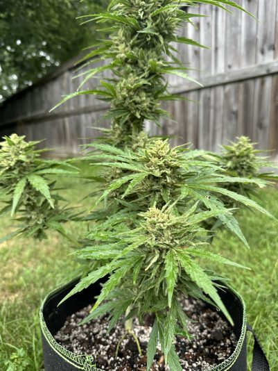 49E31F67-B128-4BEB-8E43-183283BC9E1E