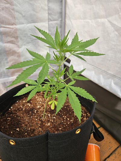 20250730_161219_resized