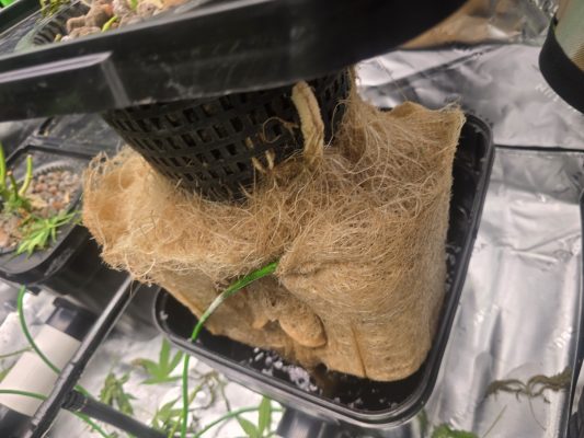 d9eda03c-41e0-486c-af24-7cbb56a3d823