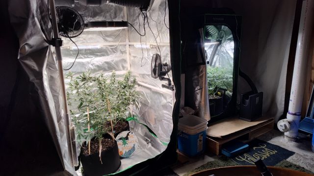 eb3dba51-8211-4d04-ac98-d1dc59c1e7a7