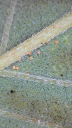 2025-08-07-22-33-13-797