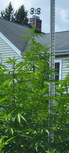 e744216c-f427-4d3f-be3a-2a1ff49228fa