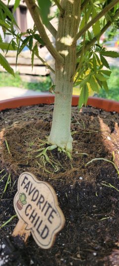 1a6cb3e7-31db-423b-b29c-9c5472da34d9