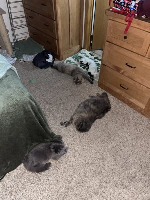 1F175F65-E5AF-48C5-9FDE-DFBB02D10CB2