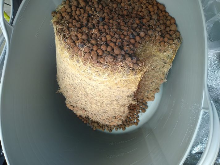 IMG_20250816_193628006