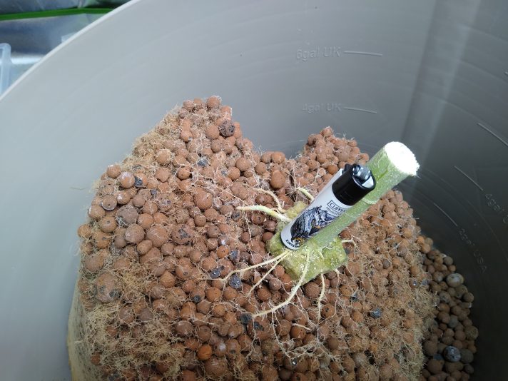 IMG_20250816_193823464