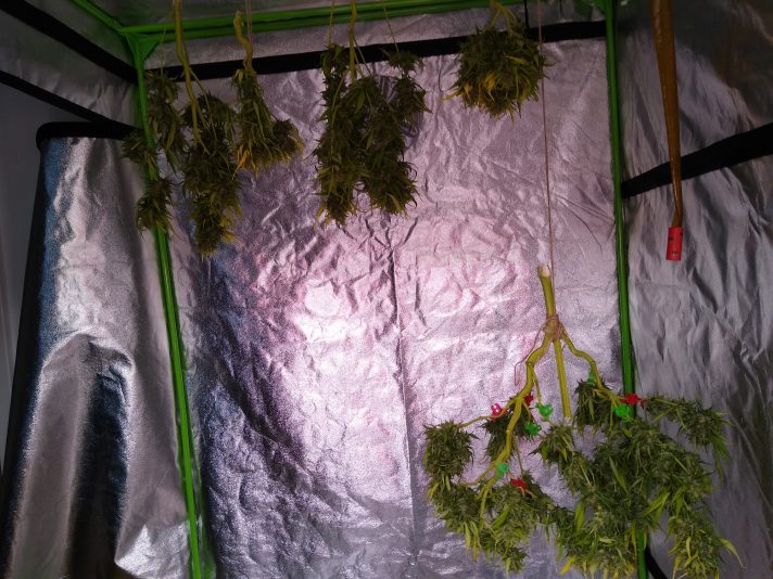 IMG_20250816_193932748