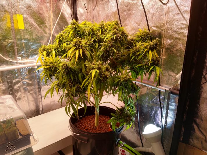 IMG_20250813_231938330_HDR