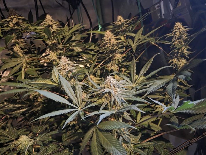 f5f6b936-2e4c-435f-af6f-461ca44d1b91