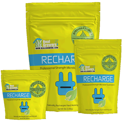 Real Growers Recharge