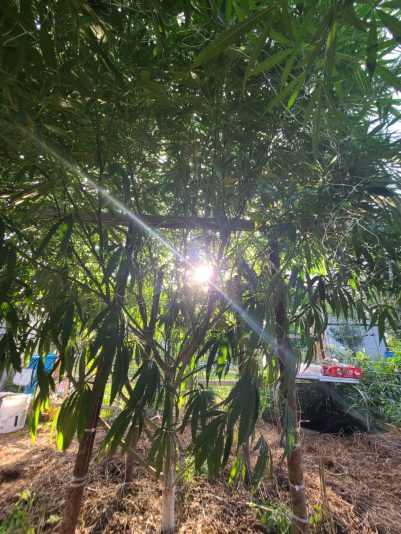 fb8a3e91-f8c7-4b67-bebd-d9a9a74686cb