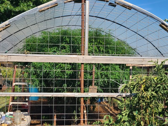 53d2f1ea-99be-49d3-ba18-40b355de2201